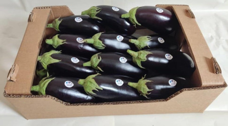 Aubergines Noires