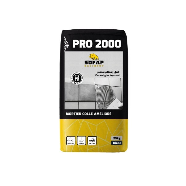 PRO 2000