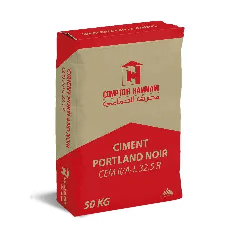 Ciment portland noir